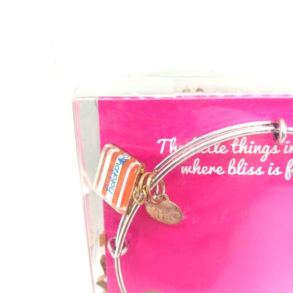 Bashful Bliss charm bracelet silver tone gift Mom Friend Memory - Picture 1 of 4